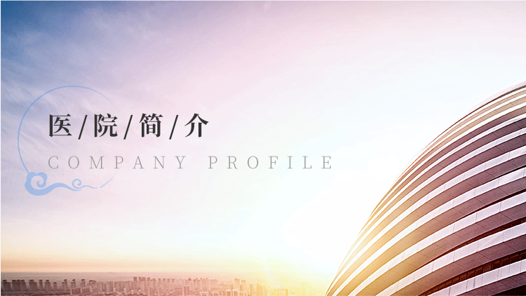 公司简介